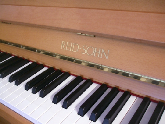 Reid Sohn Beech - close-up Reid Sohn Beech - close-up